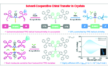 Chiral Au(I)-NHC complexes: Manipulating TPE chirality in crystals via solvent-cooperative chiral transfer 2026.101047